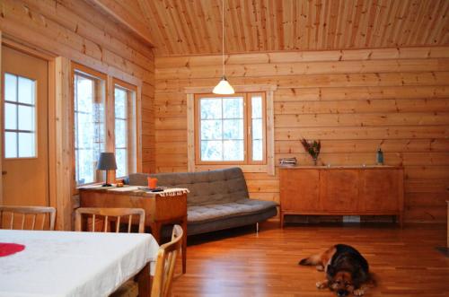 Фотографии гостевого дома
Savutaival