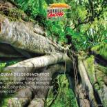 Фотография гостиницы Hotel Chicala