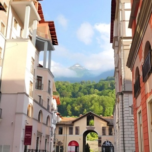 Фотография квартиры Апартаменты Посуточно Сочи Времена года