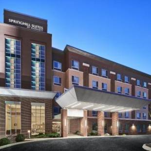 Фотографии гостиницы 
            SpringHill Suites by Marriott Roanoke