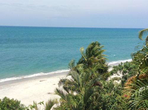 Фотография мини отеля CafeGourmetPtaCorona