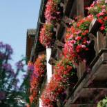 Фотография гостиницы Hotel Neuer am See