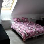 Фотография мини отеля Villa Marina