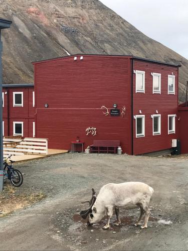 Фотографии гостевого дома
Haugen Pensjonat Svalbard