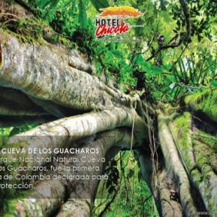 Фотографии гостиницы
Hotel Chicala