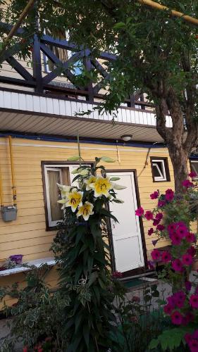 Фотография гостевого дома Татьяна