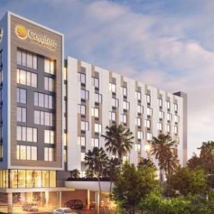 Фотографии гостиницы
Comfort Inn & Suites Miami International Airport