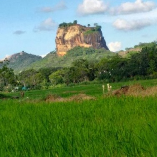 Фотография гостиницы Panoramic Rock View Villa