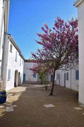Фотография гостевого дома Maison de 2 chambres a Vaux sur Mer a 900 m de la plage avec piscine partagee jardin clos et wifi
