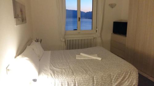 Фотография мини отеля B&B Belvedere