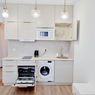 Фотография квартиры Апартаменты 1b Академика Павлова 56к1