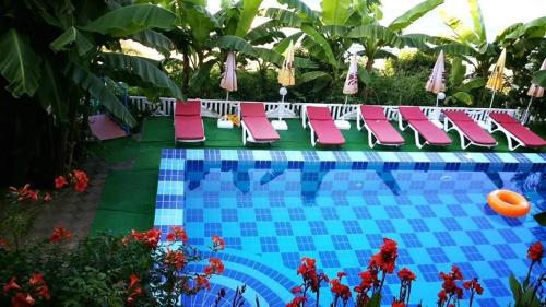 Фотографии гостиницы
Отель Фламинго