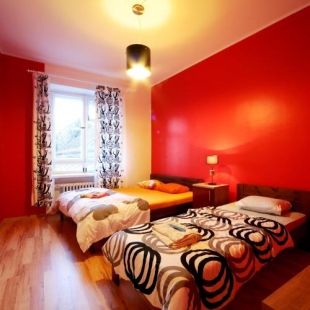 Фотография хостела Viru Backpackers Hostel