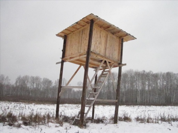 Фотография базы отдыха Чистые пруды