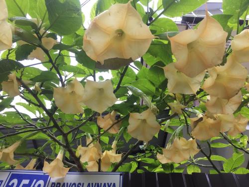 Фотографии гостевого дома 
            Омичка