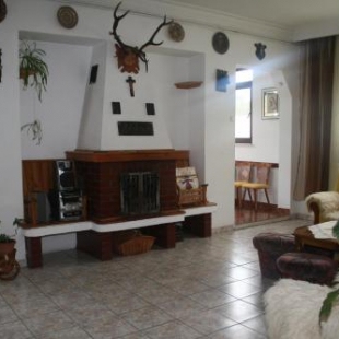 Фотография гостевого дома Pensiunea Bianca