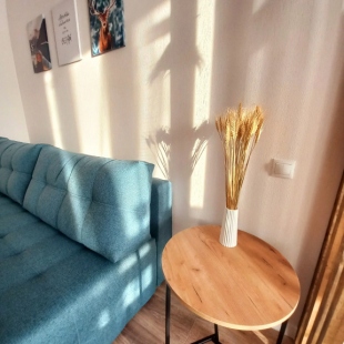 Фотография квартиры Квартира ЭКО-студия