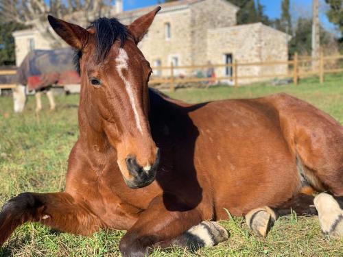 Фотография гостевого дома La petite plaine