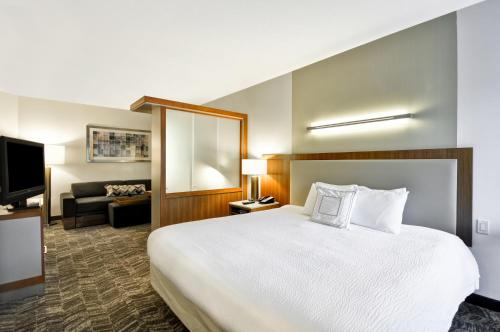 Фотография гостиницы SpringHill Suites Tallahassee Central