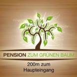 Фотография гостевого дома Europa Pension zum Grünen Baum