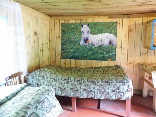 Фотографии кемпинга
Амаду