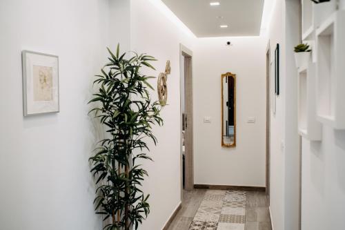 Фотографии мини отеля
B&B Stramondo