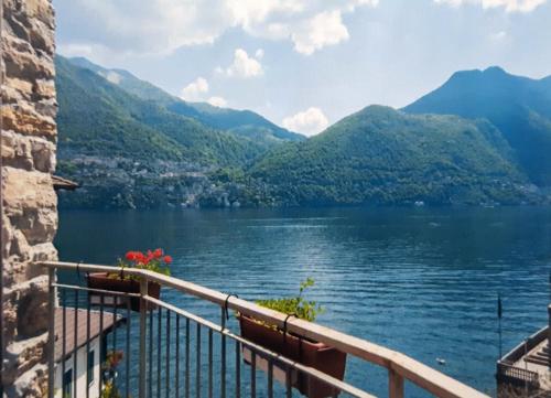 Фотографии гостевого дома 
            The Terrace on Lake Como