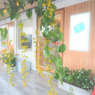 Фотографии хостела
Nornnuea @ Inthanon