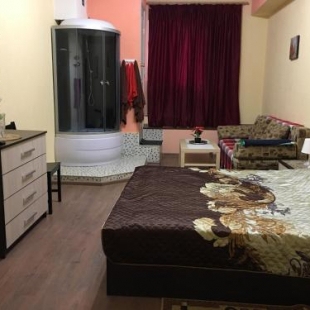 Фотография гостиницы Сильвер