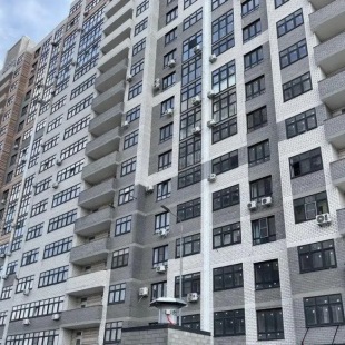 Фотография квартиры Вокруг света на улице Революции 1905 года