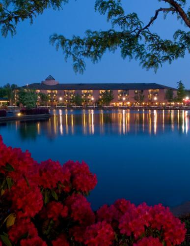 Фотография гостиницы Century Hotel