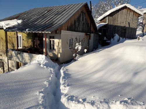 Фотография гостевого дома qurculi-ქურცული