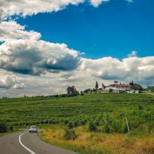 Фотографии гостевого дома 
            Complex Turistic Casa Seciu