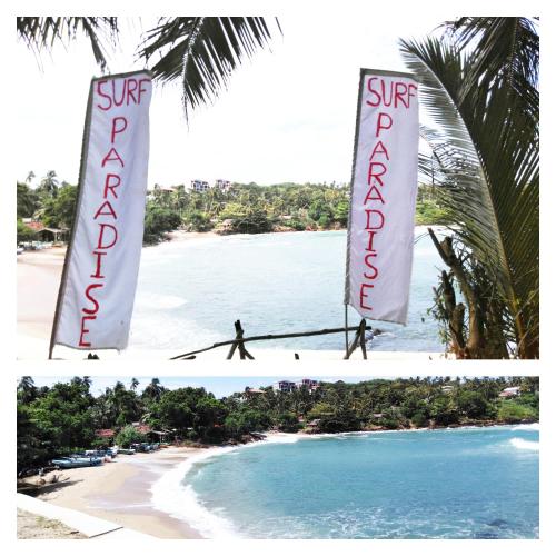 Фотография мини отеля Surf Paradise