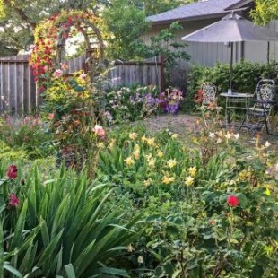 Фотография гостевого дома Romantic Casita with Garden and Deck 2 Miles to Plaza!