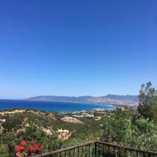 Фотографии гостевого дома 
            Philip's holiday house