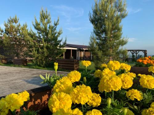 Фотография базы отдыха Белая Ривер Клаб