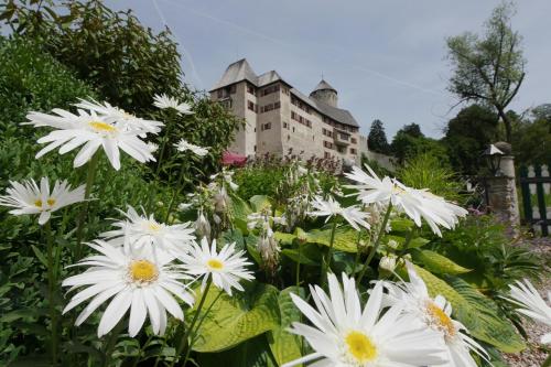 Фотография гостиницы Schloss Matzen