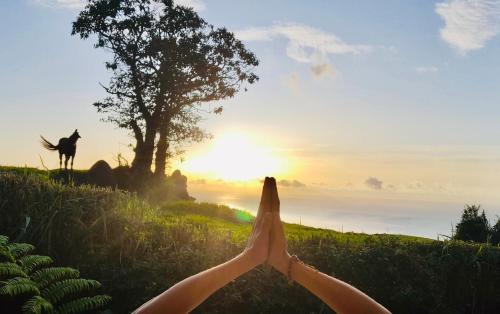 Фотография гостевого дома Azores Casa Atlantis