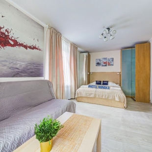 Фотография квартиры Апартаменты Hanaka Шумилова 20