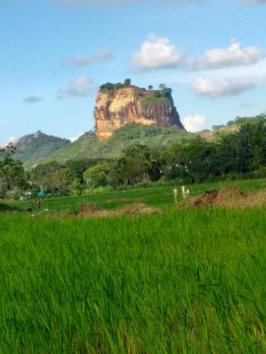 Фотография гостиницы Panoramic Rock View Villa