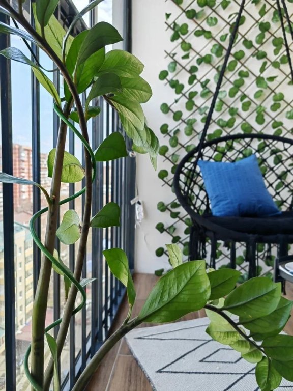 Фотография квартиры Апартаменты на Пискунова 138