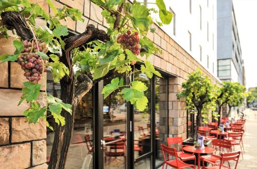 Фотография гостиницы ibis Rotterdam City Centre