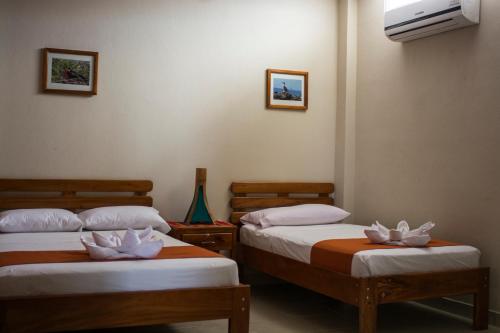 Фотография гостевого дома Hostal Cattleya