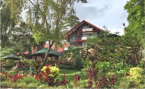 Фотография мини отеля Log Cabin Hotel - Safari Lodge Baguio