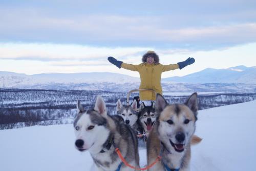 Фотография хостела Abisko net Hostel & Huskies