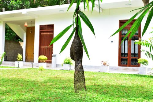 Фотография Коттеджа Saku Residence