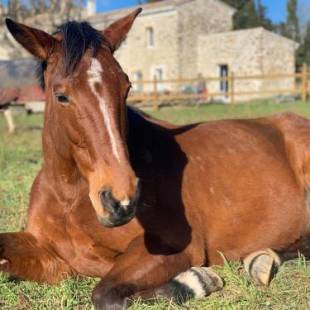 Фотографии гостевого дома
La petite plaine
