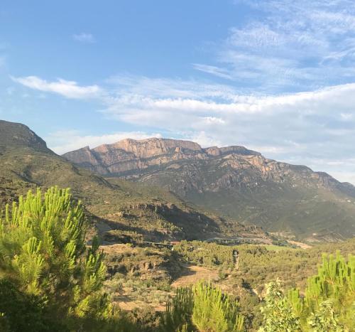 Фотография гостевого дома Corral de Jaume