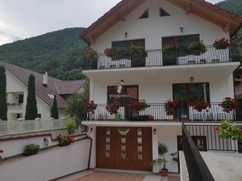 Фотография мини отеля Casa Mimi